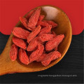 Top-grade Organic Goji Berry Red Medlar with best price